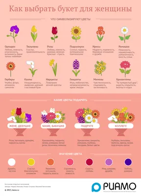 Цветы для букетов — названия, фото. Экзотические и популярные цветы для  букетов