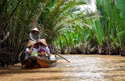 Тропическое путешествие: Вьетнам от райских пляжей до горного курорта и  джунглей 🧭 цена тура $1912, отзывы, расписание туров в Хошимине