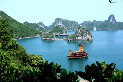 🌴 Приветствие из Земли Улыбок: Волшебный Вьетнам! 🇻🇳❤️ Друзья, сего... |  TikTok