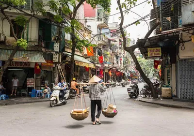 Северный или Южный Вьетнам: выбор для поездки | Василий Иванов | Дзен