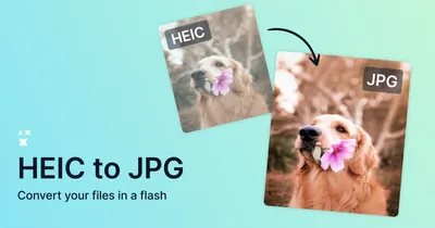 Как конвертировать HEIF в JPEG на iPhone и Mac - Лайфхакер