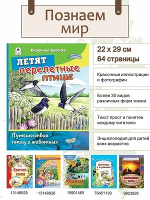 Зимующие и перелетные птицы - презентации и картинки