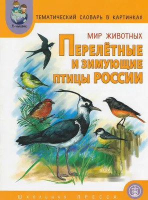 Зимующие и перелетные птицы - презентации и картинки