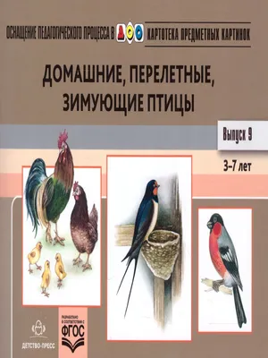 Перелетные птицы Обучающее видео для детей - YouTube