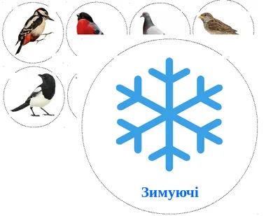Дидактична гра \"Зимуючі чи перелітні птахи\" (ID#1834994249), цена: 112 ₴,  купить на Prom.ua