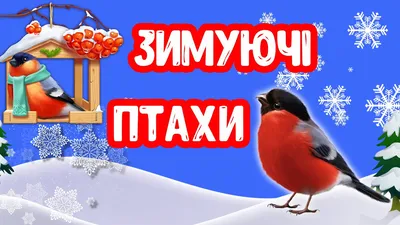 Цікаво для дітей: перелітні птахи України (фото, опис, відео)