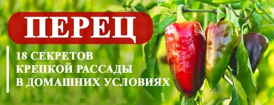 Водка с перцем и чай с вареньем являются самыми популярными средствами  самолечения от простуды в России | Уральский меридиан
