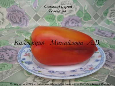 Купить семена Перец Топгриль Украина