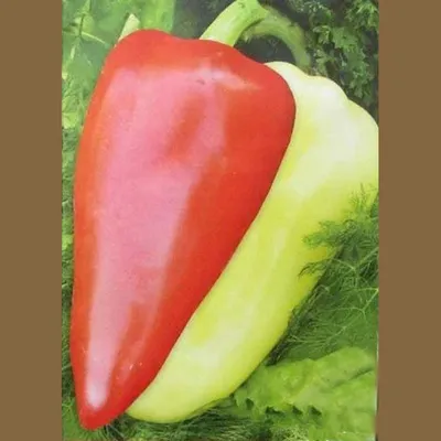Семена перца Алексий 2г - купить по лучшей цене в Одесской области от  компании \"AGROTEREM\" - 525774834
