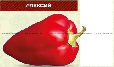 Перец Алексий 15 шт. купить оптом в Томске по цене 21,85 руб.