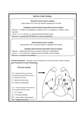 ПЕРКУССИЯ СЕРДЦА
