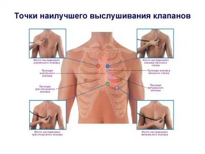 Бубен Ручной барабан Однорядный барабан Бубны с металлическими  колокольчиками Барабан Ручная перкуссия для взрослых Церковная | AliExpress