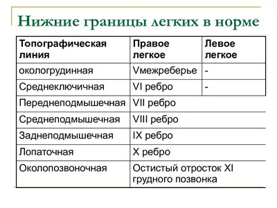 Купить Мандала Солнце Луна Сибирский Шаман Барабан Духовная Музыкальная  Перкуссия | Joom