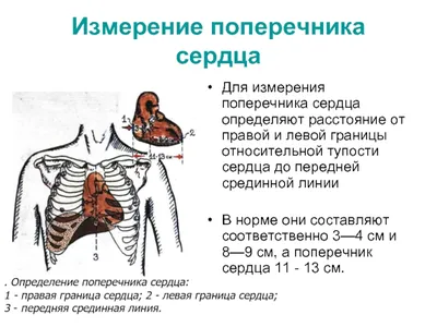 Красная награда вечеринка фон Обои Изображение для бесплатной загрузки -  Pngtree