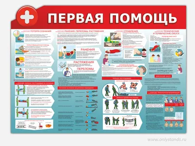 Первая помощь при кровотечениях: что можно и что нельзя делать с человеком