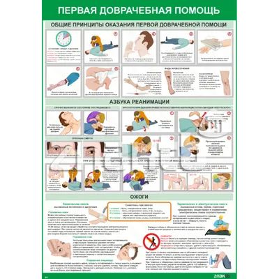 Первая помощь\": Первая помощь при переломах