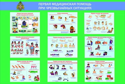 2201 Плакат информационный Плакат Первая медицинская помощь (226) купить в  Минске, цена