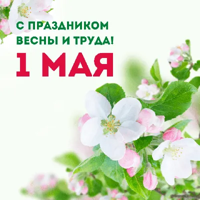 Открытки, весны и труда 1 Мая! | Типография