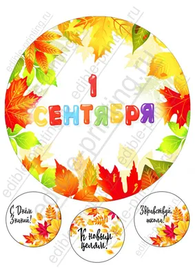 Поздравления с 1 сентября 2022 года: новые красивые открытки ко Дню знаний  - sib.fm