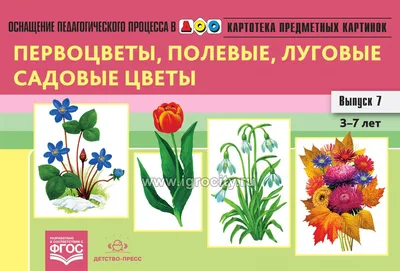 Картинка Весенние первоцветы » Весна » Природа » Картинки 24 - скачать  картинки бесплатно