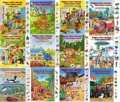 Книга Malamalama Первые знания малыша с окошками.Динозавры купить по цене  211 ₽ в интернет-магазине Детский мир
