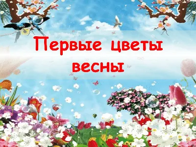 Первые цветы распустились в Пскове. ФОТО : Псковская Лента Новостей / ПЛН