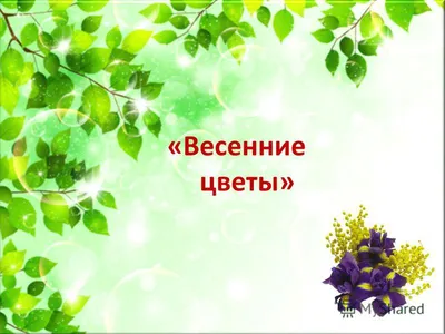 Первые цветы весны. Первоцветы. - YouTube