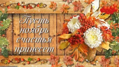 Картинки с первым днем ноября: открытки к 1 ноября 2023 года - МК Волгоград