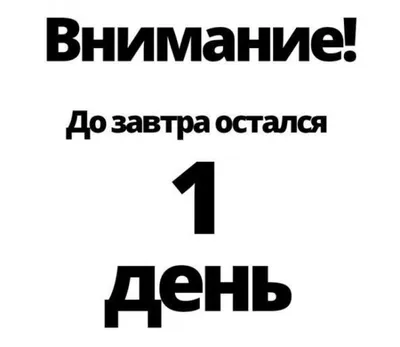 Поздравления с выходом на работу - после отпуска и на новую работу — УНИАН