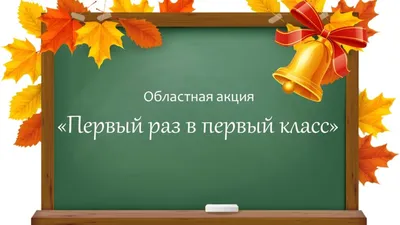 Первый раз в первый класс. What can I learn from this cartoon?