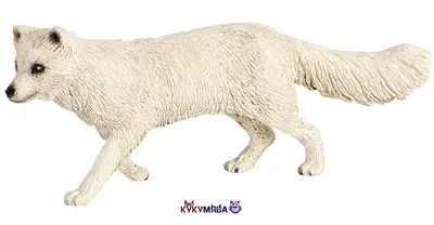 Фигурка SCHLEICH Песец 14805 купить по цене 419 ₽ в интернет-магазине  Детский мир