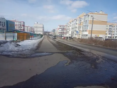 Купить Квартиру Рядом со Школой в микрорайоне Петровский квартал (посёлок  Петровский) - 97 объявлений о продаже квартир возле школы недорого:  планировки, цены и фото – Домклик