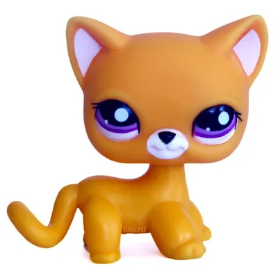 Стоячки петшоп (lps, Littlest Pet Shop): 600 грн. - Коллекционирование Киев  на Olx