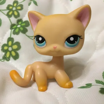 Lps #3573 кошка Littlest pet shop. - 300 грн, купить на ИЗИ (9816220)