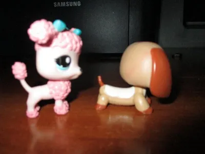 ♢♥♢FAN PetsShop*LPS*♥Littlest pet shop♥Петшопы♢♥ | ВКонтакте