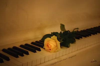 Красивые картинки пианино - 55 фото