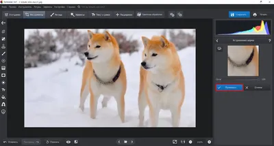 How to pixelate an image in Photoshop - Adobe