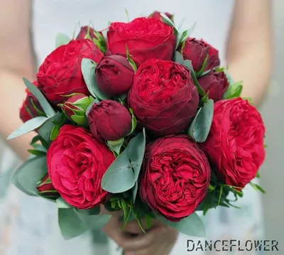 Букет из кустовой пионовидной розы - Доставкой цветов в Москве! 6513  товаров! Цены от 487 руб. Цветы Тут