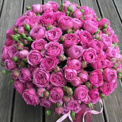 Пионовидные розы: значение, сочетания, сколько штук и какого цвета дарить,  уход