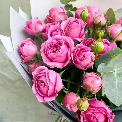 Дейзи: пионовидные розы, плоды гиперикума и брунии, пряный диантус по цене  7102 ₽ - купить в RoseMarkt с доставкой по Санкт-Петербургу