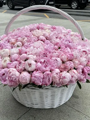 Темно-розовые пионы в коробке за 10 190 руб. | Бесплатная доставка цветов  по Москве
