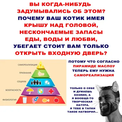 Пирамида Маслоу: как использовать популярную теорию мотивации - База Знаний  Timeweb Community