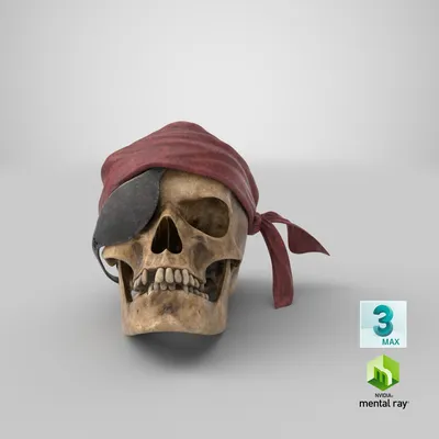 Пиратский череп Векторное изображение ©Netkoff 292027774