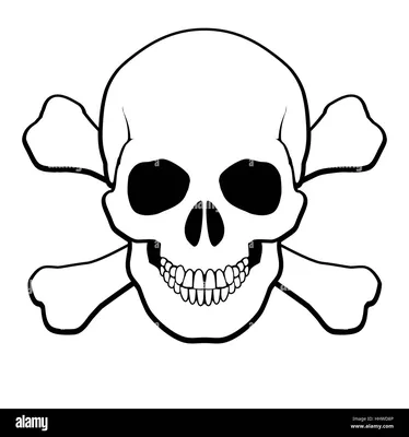 Пиратский череп Barbus 15*13.5*13 | купить в Минске
