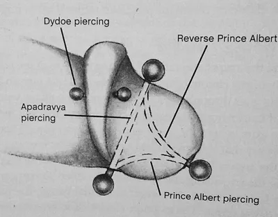 Прокол языка, пирсинг языка, штанга в языке, tongue piercing, пирсинг,  красивый пирсинг, пирсинг Тюмень, пирсинг в Тюмени | Tatoo