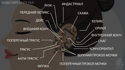 Инфекция при пирсинге уха ⋆ Студия тату и пирcинга EVO