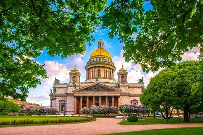 Первый раз в Питере- Яррег - новости Ярославской области