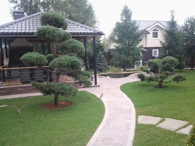 Ландшафтный дизайн двора частного дома 👍 - Идеи для вашего дома | فيسبوك