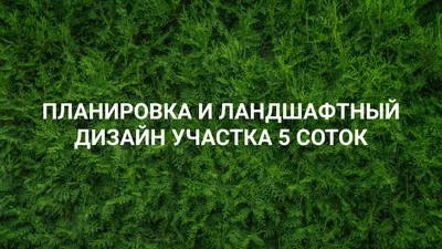 Планировка дачного участка 6 соток: фото и схемы планирования, план  примерного дизайна садовой территории