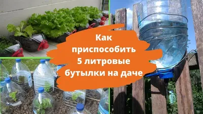 Поделки из бутылок для дачи своими руками: пошаговая инструкция, схемы,  фото | Компания «Большая земля»